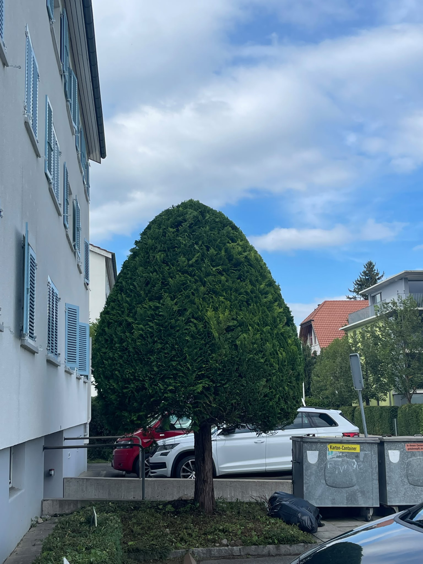 Formschnitt eines Baumes auf einer Liegenschaft