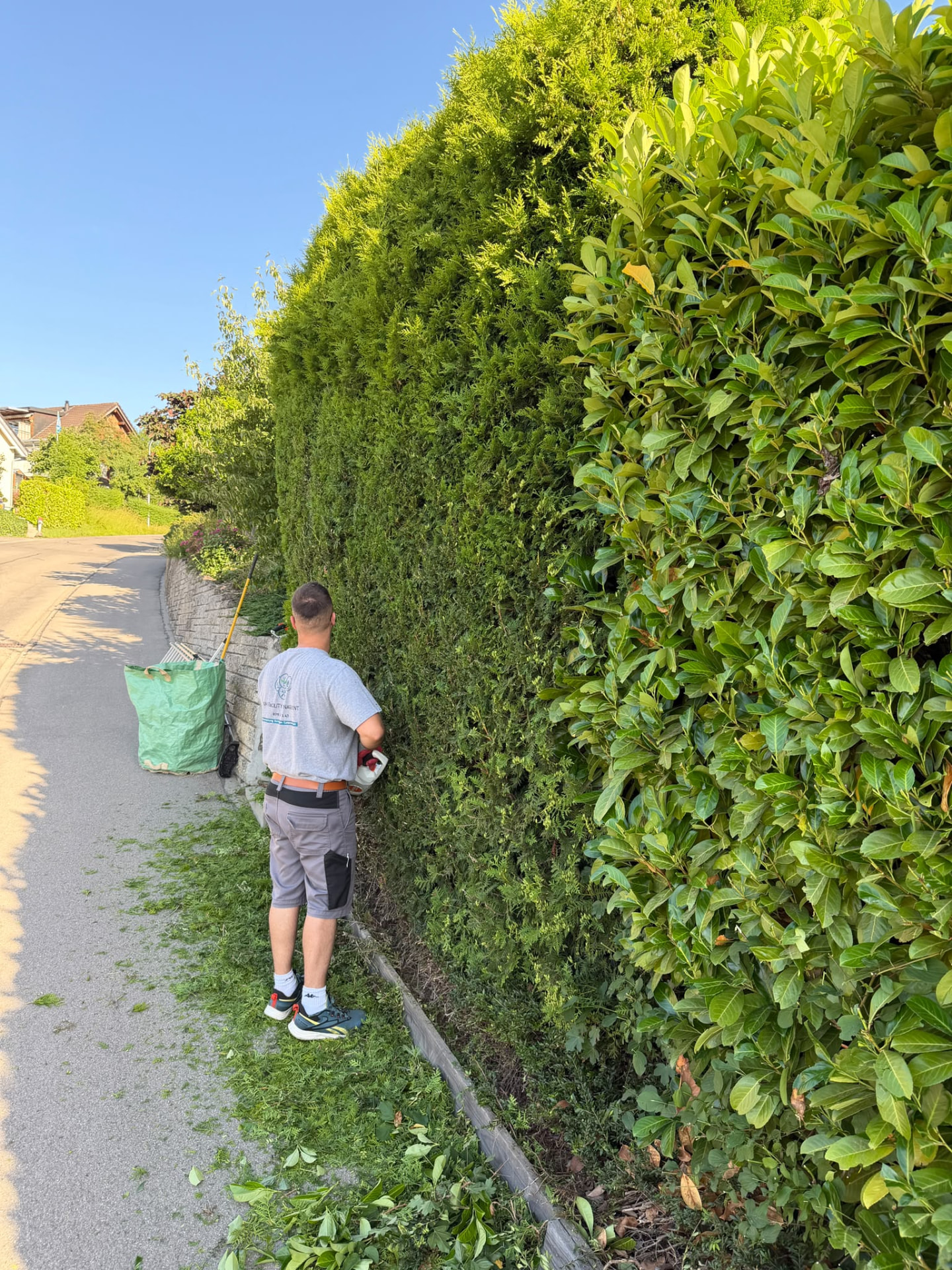 Gartenunterhalt